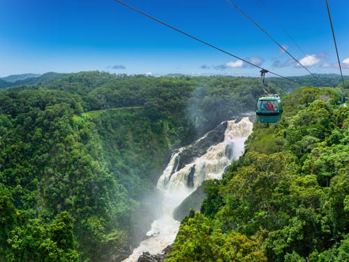 Rainforest Skyrail attraction